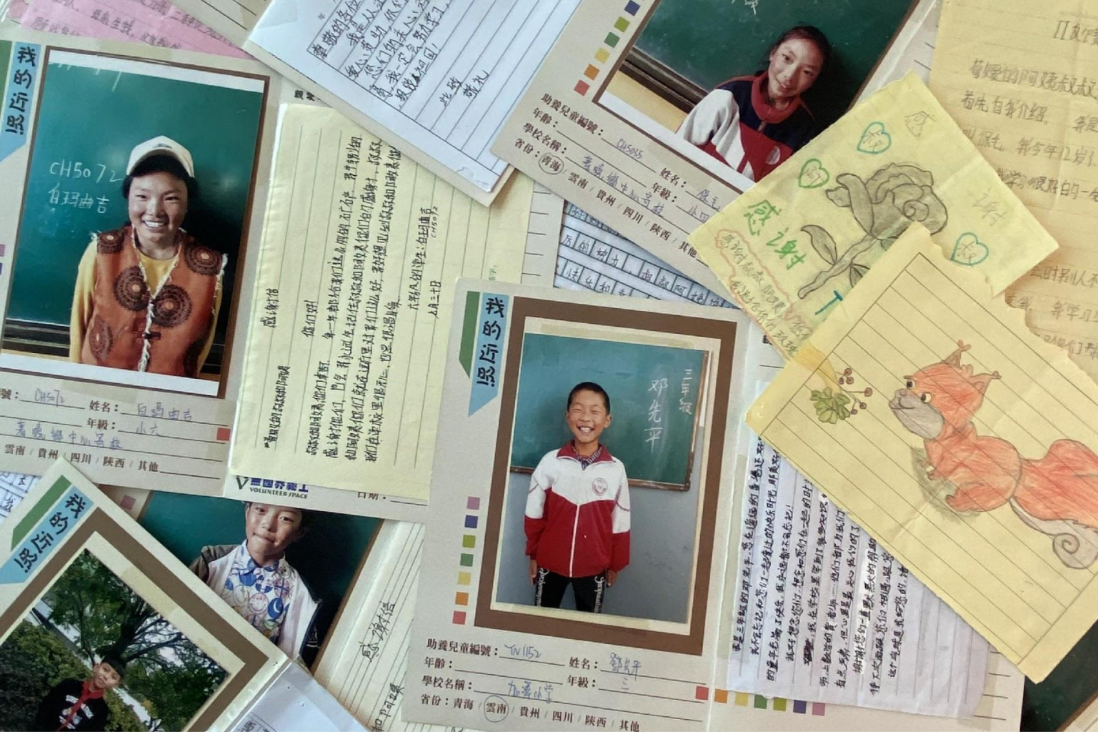 百利好：益起行动 守护未来 - 百利好环球